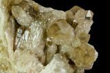 Smoky Citrine Crystal Cluster - Lwena, Congo #128423-2